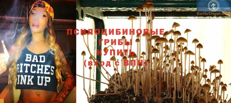 продажа наркотиков  Борисоглебск  сайты даркнета клад  Галлюциногенные грибы MAGIC MUSHROOMS 